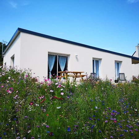 Baradoz Villa Ploubazlanec Exteriör bild
